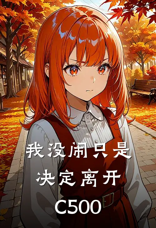 我没闹只是决定离开C500