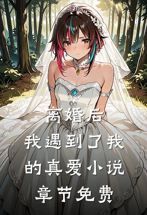 离婚后，我遇到了我的真爱小说章节免费