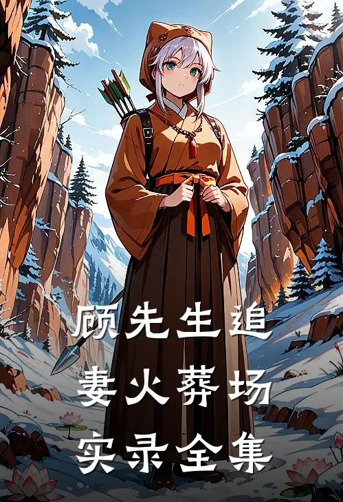 顾先生追妻火葬场实录 全集